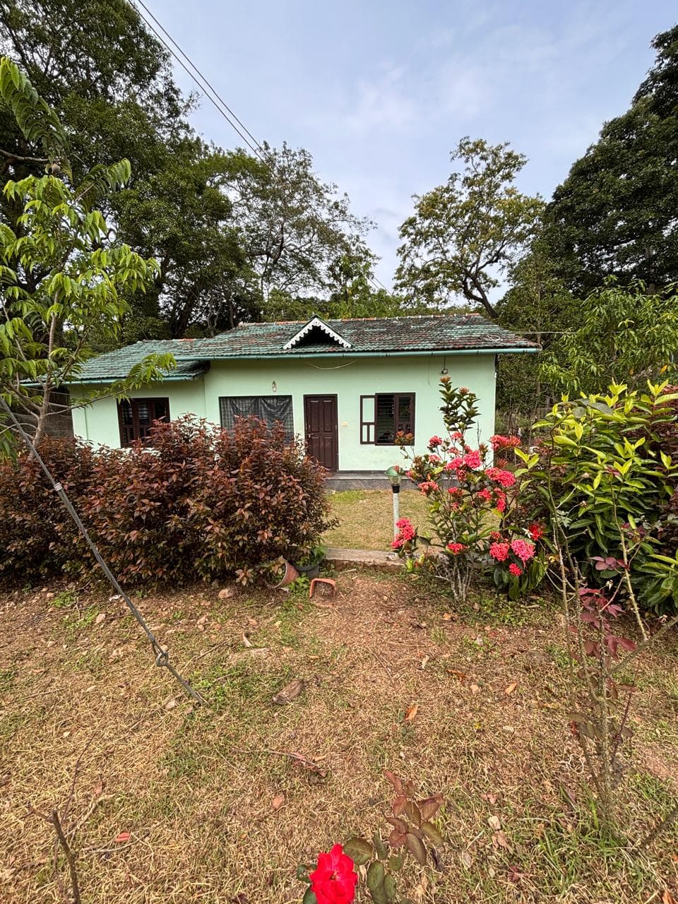 Cassia cottage framed by its flowering garden