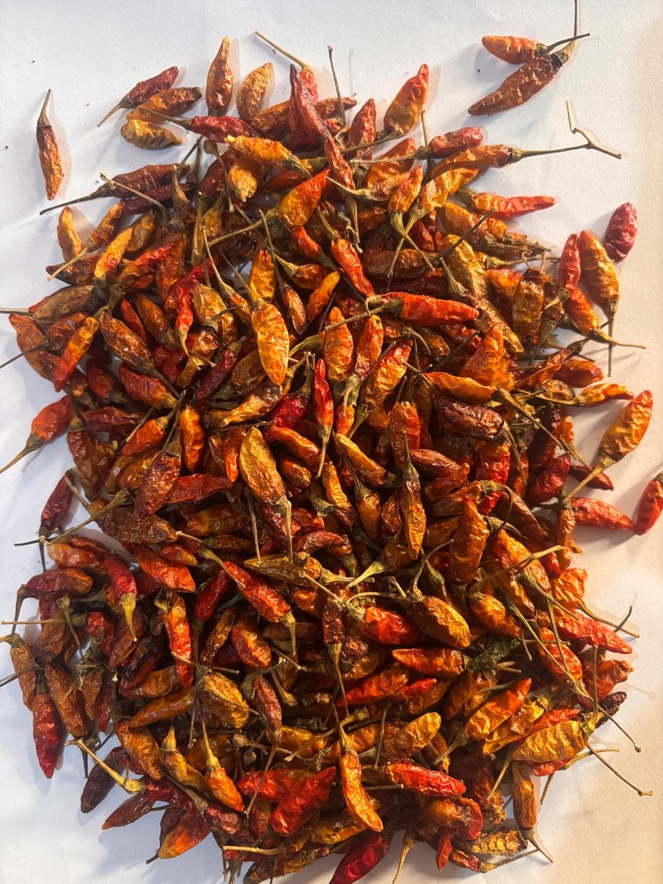 Sun-dried bird's eye chilies