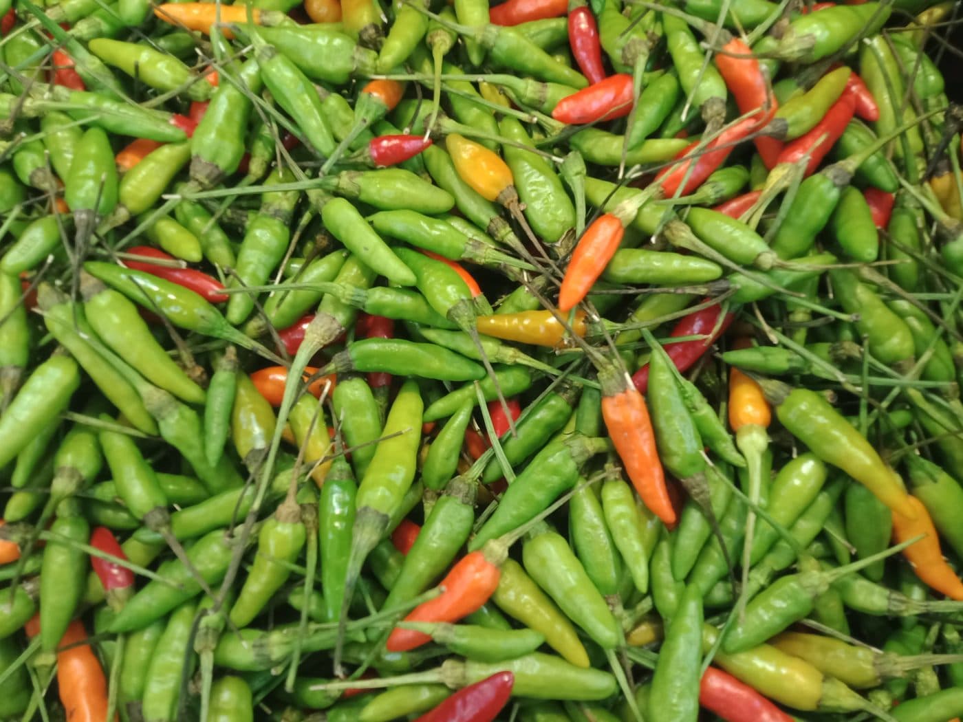 Fresh green and red bird's-eye chillies